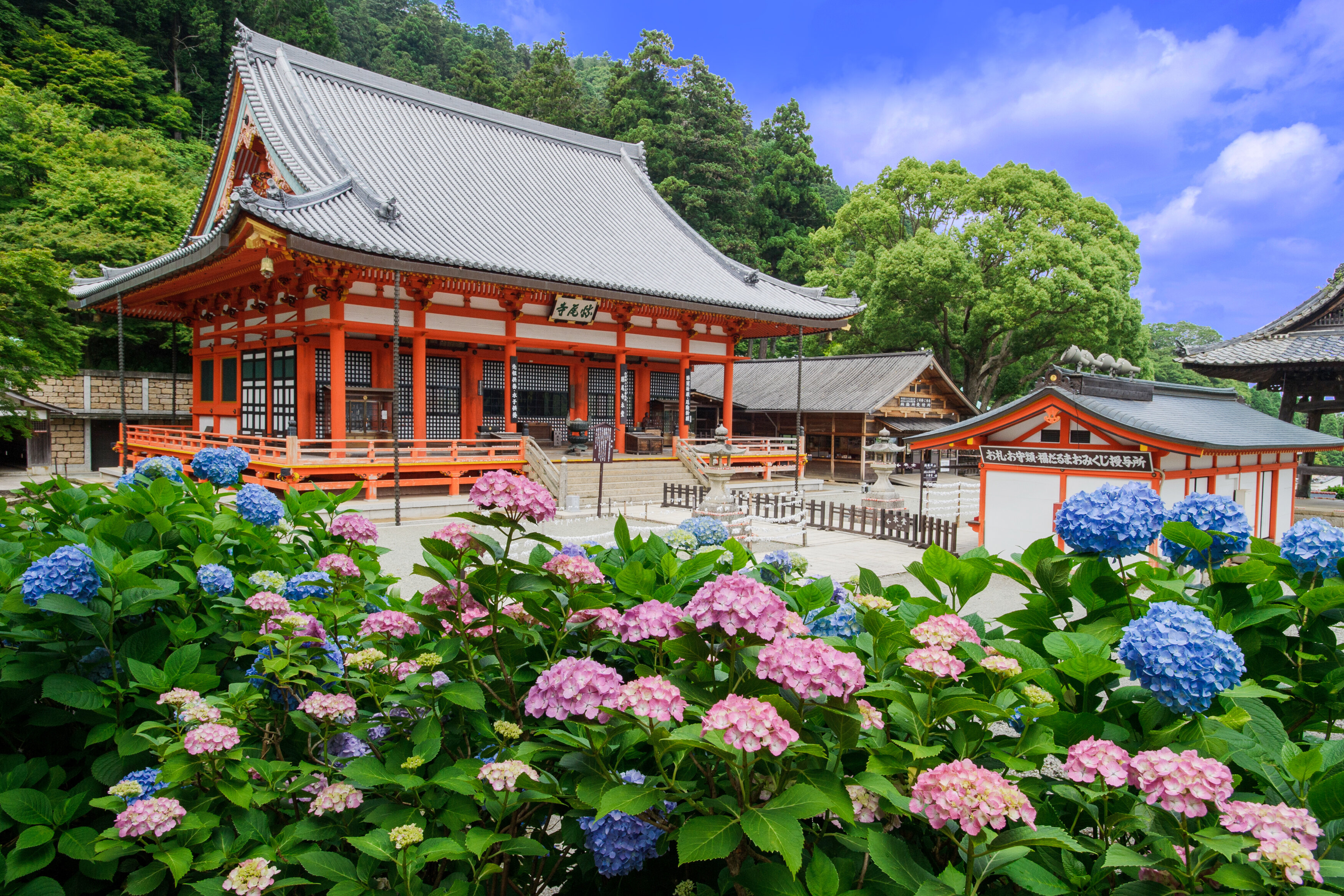 勝尾寺